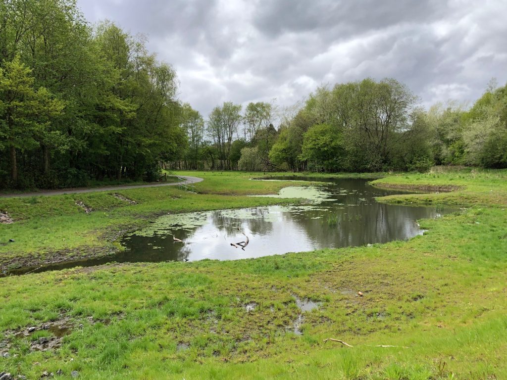 Braes Park biodiversity scrape