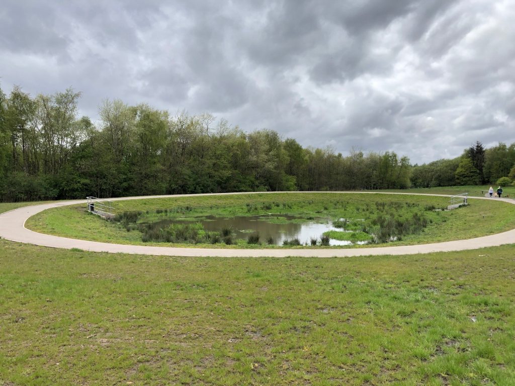 Braes Park SuDS feature