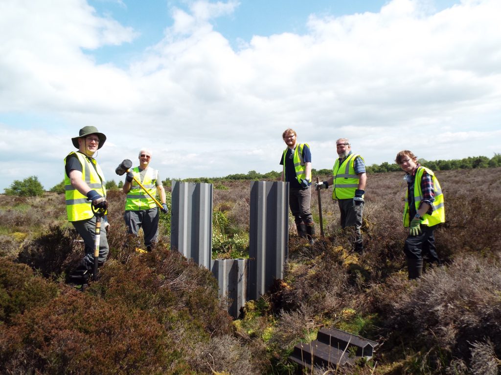 Decorative purposes. Photograph of five people in reflective jackets holding spades standing next to a new small metal dam, surrounded by peatland.